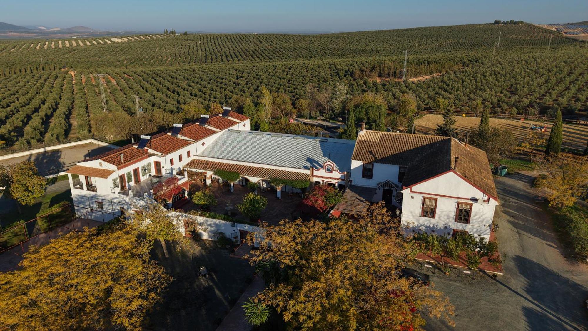 Bed and Breakfast Cortijo Carrillo Картаохаль Экстерьер фото
