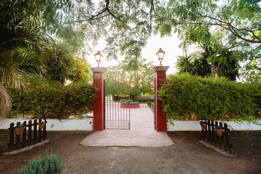 Bed and Breakfast Cortijo Carrillo Картаохаль Экстерьер фото